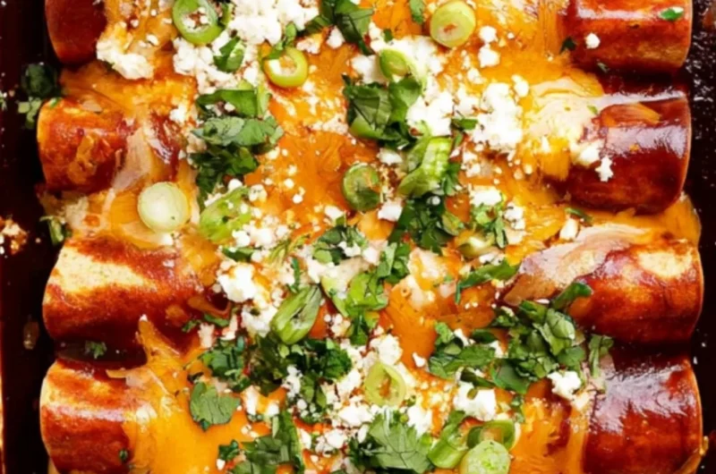 Cozy black bean enchiladas topped with cheese and garnished with cilantro